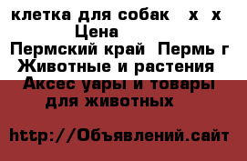 клетка для собак 93х67х71 › Цена ­ 4 800 - Пермский край, Пермь г. Животные и растения » Аксесcуары и товары для животных   
